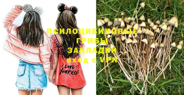 ECSTASY Михайловск