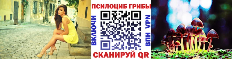 Псилоцибиновые грибы мицелий  Сортавала 